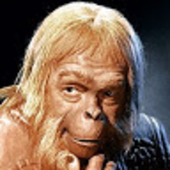 Meet your Posher, Clifford - Picture 1 of 1